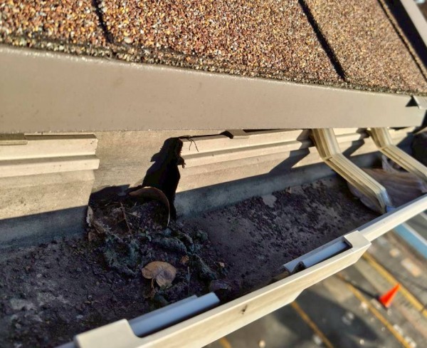 集水マス詰まり　清掃前